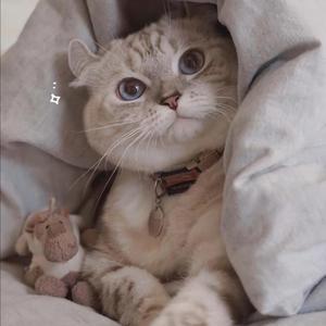 床上啪啪第三集
